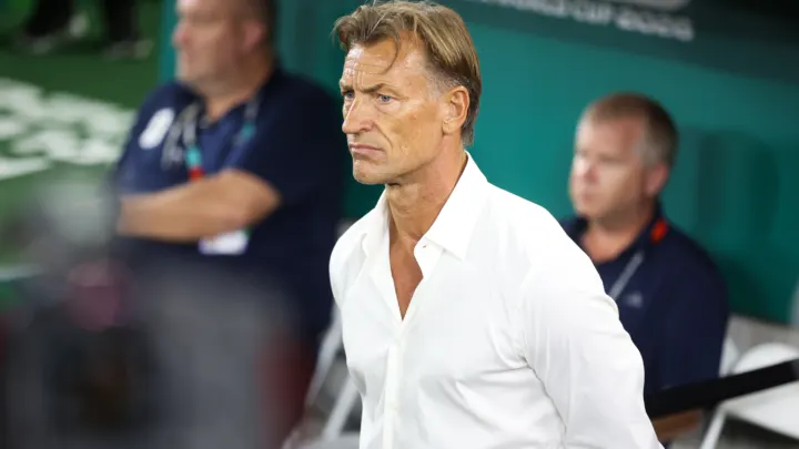 Éléphants : le pari de la jeunesse pour les débuts de Renard